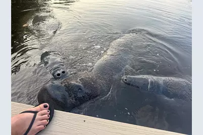 265 96th Avenue N, Saint Petersburg, FL 33702 - Photo 62