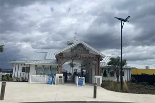 10175 Trumpet Honeysuckle Wy, San Antonio, FL 33576 - Photo 28