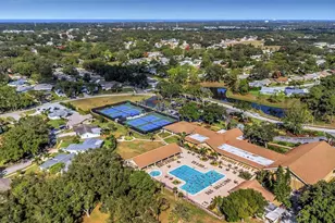 3532 Cayman Ct, Palm Harbor, FL 34684 - Photo 54