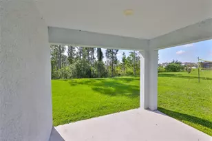 1213 Tahitian Sunrise Dr, Plant City, FL 33565 - Photo 38