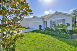 1213 Tahitian Sunrise Dr, Plant City, FL 33565 - Photo 48