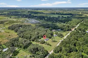 31326 Tyndall Rd, Wesley Chapel, FL 33545 - Photo 80