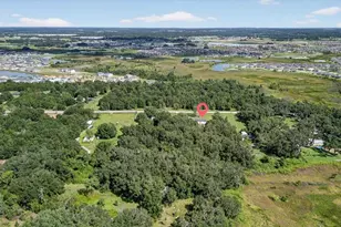 31326 Tyndall Rd, Wesley Chapel, FL 33545 - Photo 78