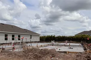 11731 Full Moon Loop, Parrish, FL 34219 - Photo 8