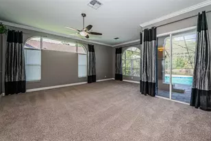 2691 Saddlewood Ln, Palm Harbor, FL 34685 - Photo 24