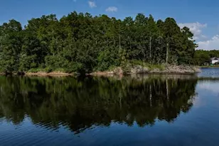 2691 Saddlewood Ln, Palm Harbor, FL 34685 - Photo 62