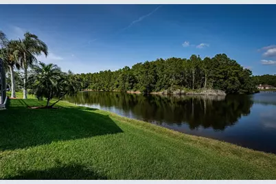 2691 Saddlewood Lane, Palm Harbor, FL 34685 - Photo 64