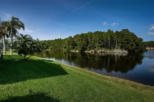 2691 Saddlewood Ln, Palm Harbor, FL 34685 - Photo 64