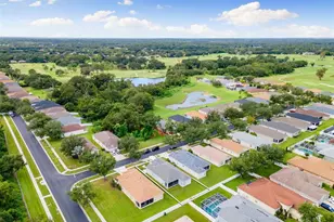 1005 Crystal Carbon Way, Valrico, FL 33594 - Photo 32