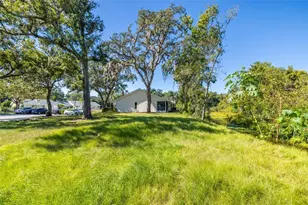 4016 Poinciana Ct, Palm Harbor, FL 34684 - Photo 28
