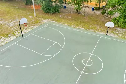 6107 Ibispark Drive, Lithia, FL 33547 - Photo 42