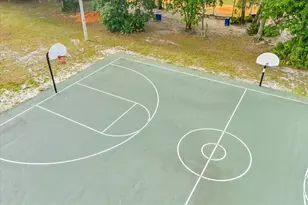 6107 Ibispark Dr, Lithia, FL 33547 - Photo 42