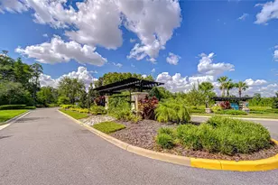 21867 Amelia Rose Way, Land O Lakes, FL 34637 - Photo 68