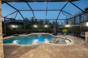 21867 Amelia Rose Way, Land O Lakes, FL 34637 - Photo 58