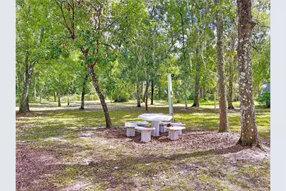 7347 Packingham Drive, Webster, FL 33597 - Photo 92