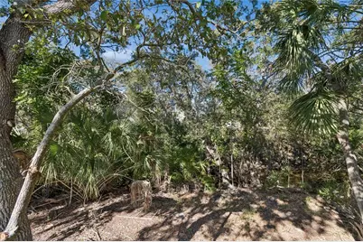 483 Harbor Springs Drive, Palm Harbor, FL 34683 - Photo 36