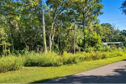 County Road 401, Lake Panasoffkee, FL 33538 - Photo 4