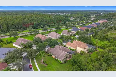 20626 Longleaf Pine Avenue, Tampa, FL 33647 - Photo 38