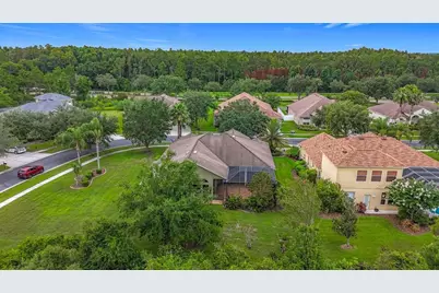 20626 Longleaf Pine Avenue, Tampa, FL 33647 - Photo 40