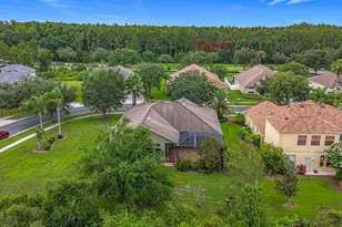 20626 Longleaf Pine Ave, Tampa, FL 33647 - Photo 40