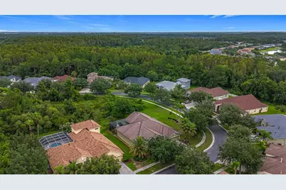 20626 Longleaf Pine Avenue, Tampa, FL 33647 - Photo 78