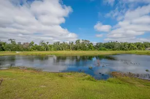 10218 Cloudburst Ct, Riverview, FL 33578 - Photo 22