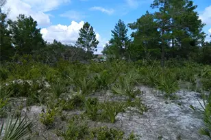 2220 N Altair Rd, Avon Park, FL 33825 - Photo 4