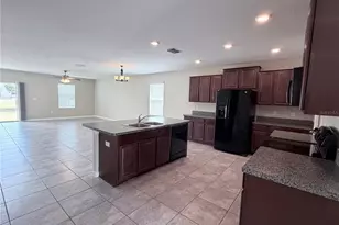 10013 Crested Fringe Dr, Riverview, FL 33578 - Photo 4