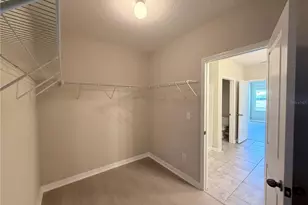 10013 Crested Fringe Dr, Riverview, FL 33578 - Photo 14