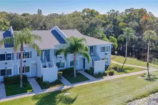 4145 Dolphin Dr, Tampa, FL 33617 - Photo 16