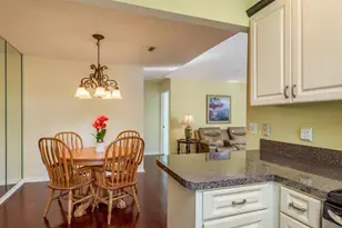 334 Los Prados Dr, Safety Harbor, FL 34695 - Photo 16