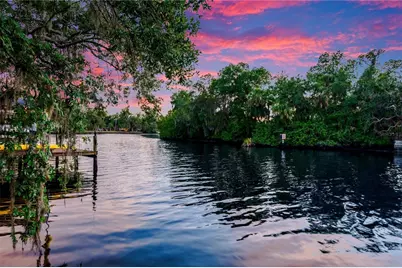 11526 River Country Drive, Riverview, FL 33569 - Photo 4