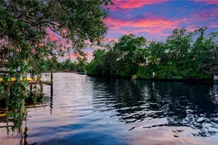 11526 River Country Dr, Riverview, FL 33569 - Photo 2