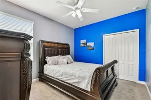 205 Orange Mill Ave, Ruskin, FL 33570 - Photo 46