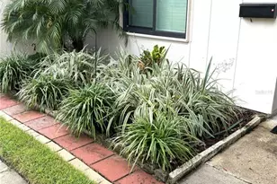 1175 Mission Cir, Clearwater, FL 33759 - Photo 2
