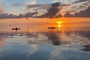 615 N Mayo St, Crystal Beach, FL 34681 - Photo 54