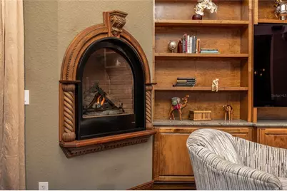 1523 Fishing Lake Drive, Odessa, FL 33556 - Photo 20