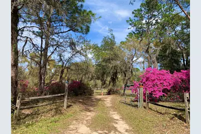 24605 and 24645 NE 177th Terrace, Fort Mc Coy, FL 32134 - Photo 4