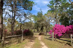 24605 and 24645 NE 177th Terrace, Fort Mc Coy, FL 32134 - Photo 4