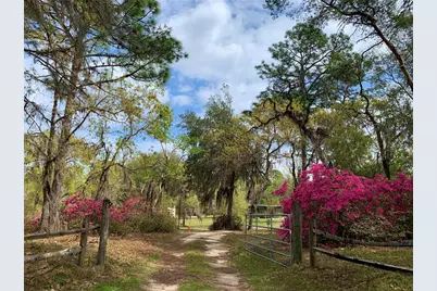 24605 and 24645 NE 177th Terrace, Fort Mc Coy, FL 32134 - Photo 76