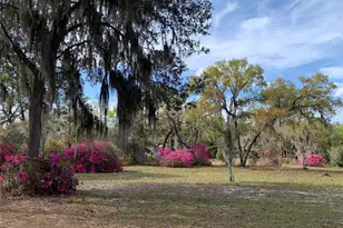 24605 and 24645 NE 177th Terrace, Fort Mc Coy, FL 32134 - Photo 94