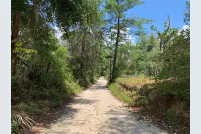 24605 and 24645 NE 177th Terrace, Fort Mc Coy, FL 32134 - Photo 86