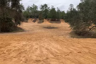 24605 and 24645 NE 177th Terrace, Fort Mc Coy, FL 32134 - Photo 88