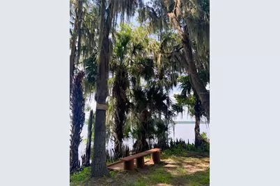 24645 and 24605 NE 177th Terrace, Fort Mc Coy, FL 32134 - Photo 76