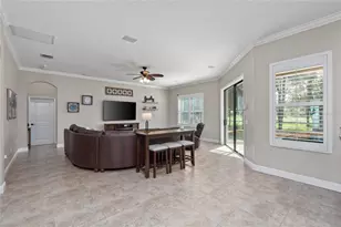 12922 Red Cardinal Dr, Odessa, FL 33556 - Photo 24