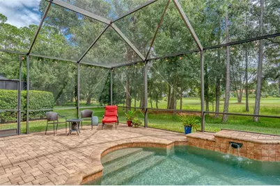 12922 Red Cardinal Drive, Odessa, FL 33556 - Photo 48