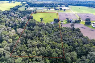 15833 Jessamine Rd, Dade City, FL 33523 - Photo 8