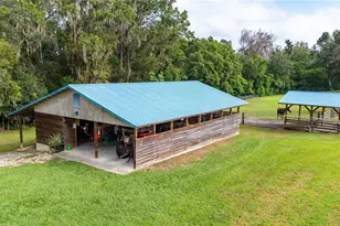 15833 Jessamine Rd, Dade City, FL 33523 - Photo 10