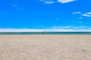 8405 Bayshore Dr, Treasure Island, FL 33706 - Photo 20