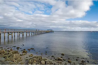 26 Ridgecroft Lane, Safety Harbor, FL 34695 - Photo 46